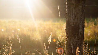 呼死你在线免费试用