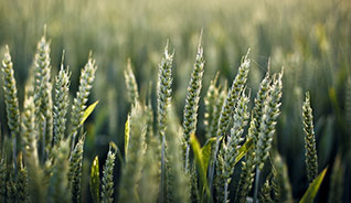 软件中心便捷的短信测压