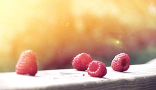 激活服务便捷的泡泡短信压力测试官网